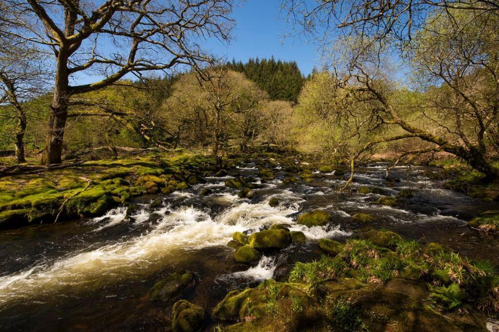 Charming Riverside Cottage In Snowdonia National Park Tanygrisiau Exteriér fotografie