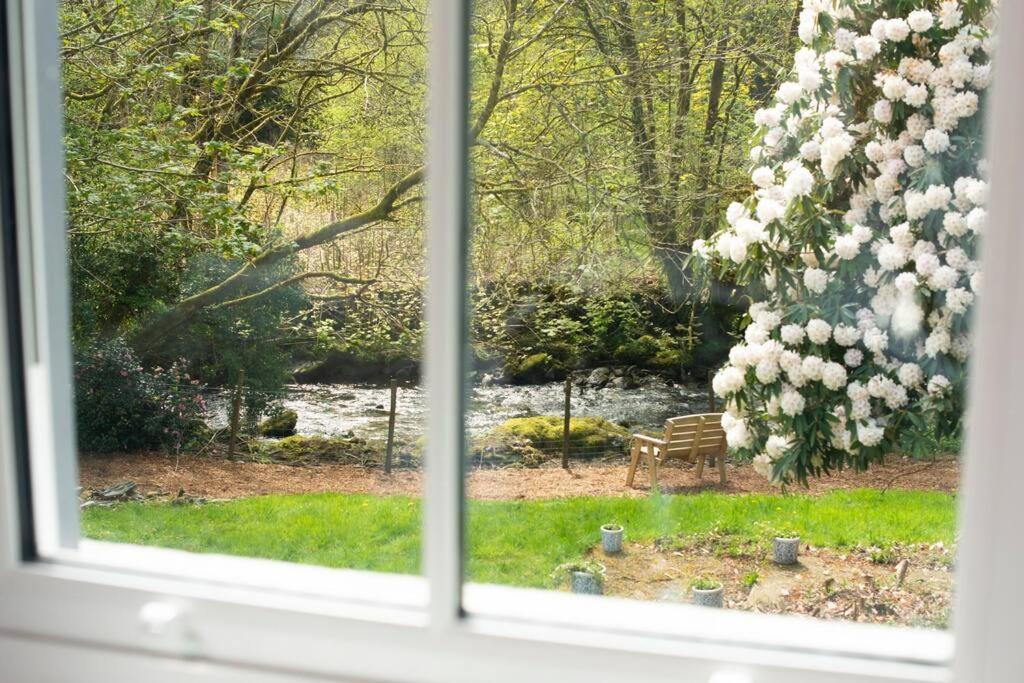 Charming Riverside Cottage In Snowdonia National Park Tanygrisiau Exteriér fotografie