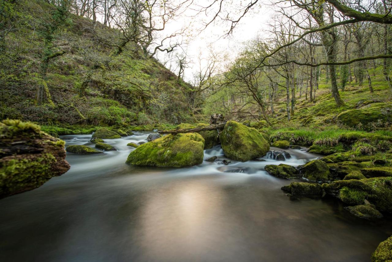 Charming Riverside Cottage In Snowdonia National Park Tanygrisiau Exteriér fotografie